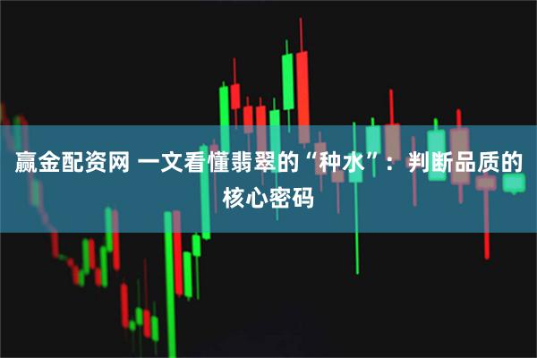 赢金配资网 一文看懂翡翠的“种水”:判断品质的核心密码